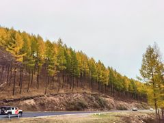 -塞罕坝国家级自然保护区