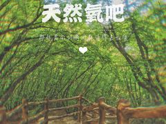 -云蒙山风景区
