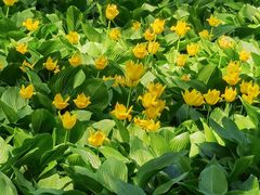 -长春公园(普阳街道)