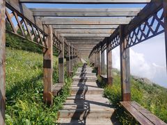 -白草畔自然风景区