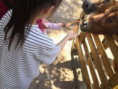 -昆明动物园