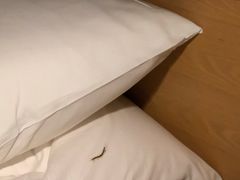 -法云安缦酒店