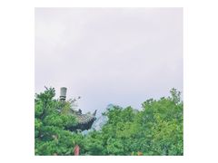 -王顺山国家森林公园