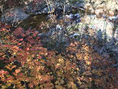 -丹东天桥沟景区