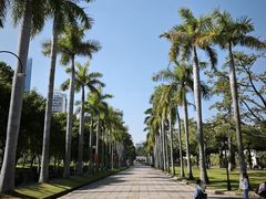-厦门大学(思明校区)
