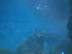 -常州海昌海洋探索馆