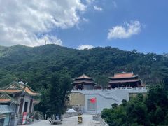 -南海湾森林生态园