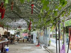 -马陆小张葡萄园农家乐