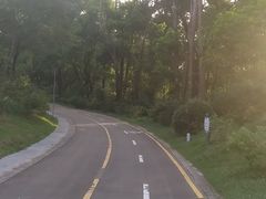 -聚龙山公园