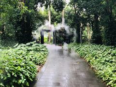 -厦门悦华酒店·绿庭主题自助餐厅