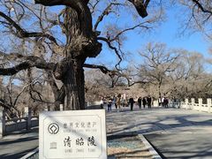 -北陵公园