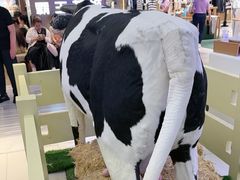 -红星前进面包牛奶公司(君太店)