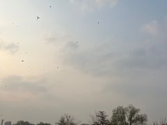 -太阳宫公园