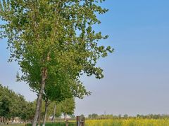 -汉长安城未央宫国家考古遗址公园