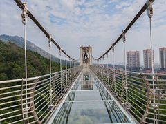 -客天下恐龙水晶玻璃桥