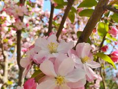 -大兴滨河森林公园