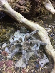 -酷嗒动物文化乐园(cutezoo西溪乐天城店)