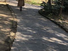 -东湖落雁景区