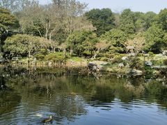 -杭州植物园