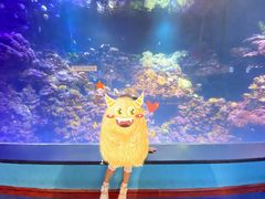 -海合安青岛极地海洋公园