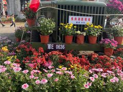 -焦岗湖影视城