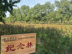 -汉景帝阳陵博物院