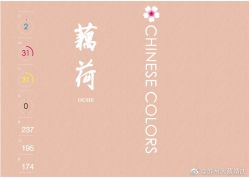 -DC大蔡婚礼策划(李公堤店)