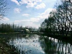 -溱湖国家湿地公园