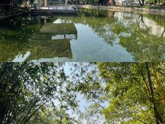 -晓港公园
