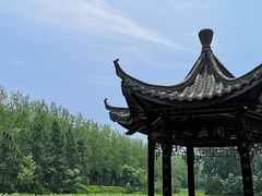 -合肥滨湖国家森林公园