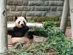 -重庆欢乐海底世界