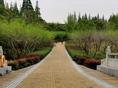 -同里国家湿地公园