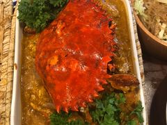 -茉莉.Red Crab