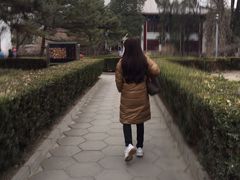 -北京大学赛克勒考古与艺术博物馆
