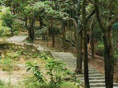 -火炉山森林公园