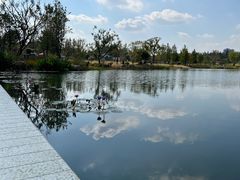 -上海植物园-4号门售票处