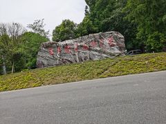 -东平国家森林公园