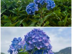 -昆嵛山石门里景区