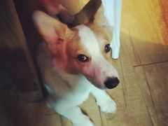 -M-3 PUB(创智天地店)