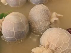 -哈啾嗨·蒙文化主题餐厅(京汉新城店)