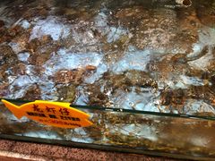 -快乐海鲜城(虎泉街店)