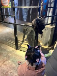 点击看大图 -酷嗒动物文化乐园(cutezoo西溪乐天城店)