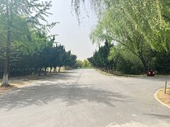 -祥源·阜阳生态乐园