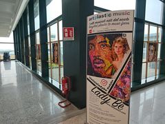 -米兰-马尔彭萨机场