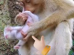 -昆明动物园