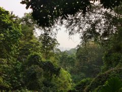 -火炉山森林公园