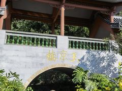 -广州神农草堂中医药博物馆