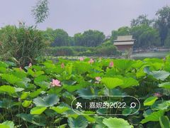 -济南大明湖景区