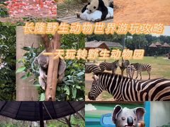 -广州长隆野生动物世界