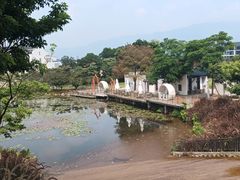 -南丹山森林王国